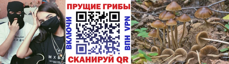 Псилоцибиновые грибы мицелий Белоозёрский